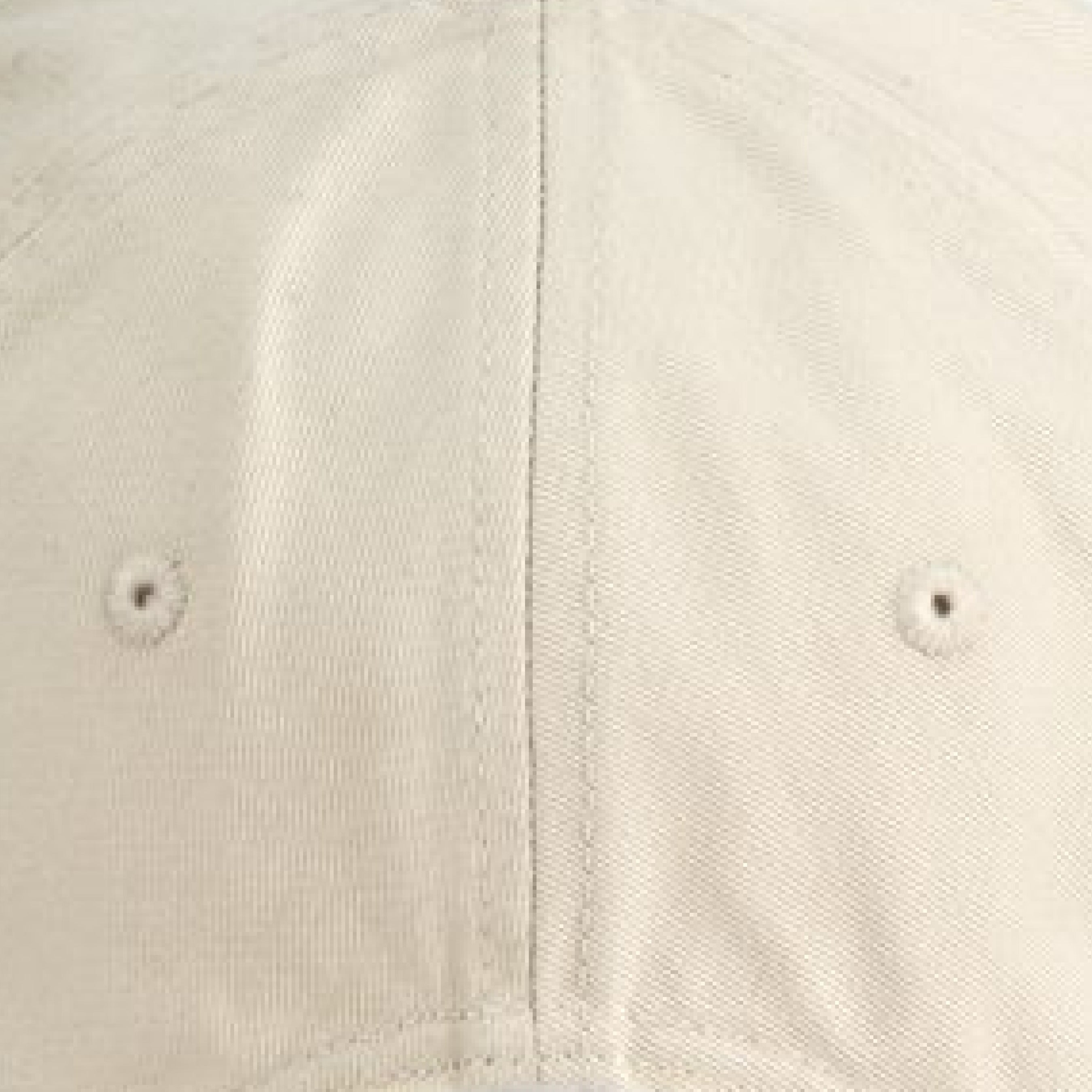 Oyster/ Jungle - BACK